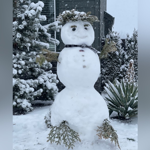 Meet your Posher, Ira - Picture 4 of 4